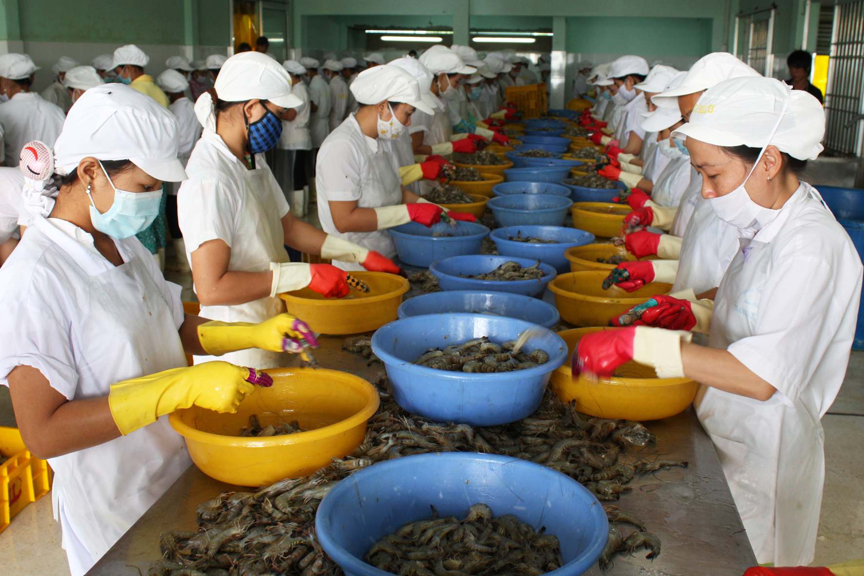 Nga là thị trường đứng thứ 9 về nhập khẩu tôm của Việt Nam